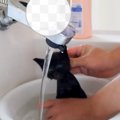 用水路で助けた子猫→『はじめてのシャンプー』に挑戦した結果…予想外の反…