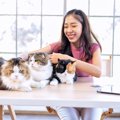 愛猫を『粘着体質』にしてしまう3つの原因　飼い主さんが無意識でやってい…