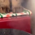 炊飯器のほうを見たら、『2匹の猫』が…思わず笑顔になる『かわいい光景』…
