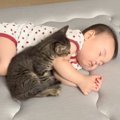 近くにやって来た小さな子猫に……生後8か月の赤ちゃんがとった『驚くべ…
