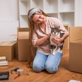 猫が『環境の変化』を苦手とする理由3つ　習性などの原因や飼い主ができる…