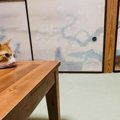 すぐそばでくつろぐ犬と猫、じっと見つめあっていると、次の瞬間…『尊すぎ…