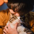 猫の『輪廻転生』についての通説4つ　亡くなった愛猫と再会できる？生まれ…