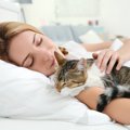 猫が飼い主の『体の上に乗って眠りたがる』理由３つ