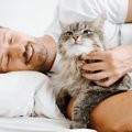 相手が『猫好きかどうか』はここを見ればわかる！猫仲間を見つけ出す…