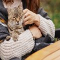 愛猫が『余命宣告』を受けたら…飼い主さんができる4つのこと　残りの…