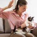 猫に対して絶対にNGな『飼い主の態度・暴言』3選　起こり得る最悪の結…