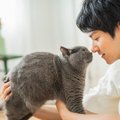 猫と『ラブラブ』になるたった4つの秘訣とは？