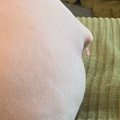 毛のない猫『スフィンクス』が体を丸めたら……猫とは思えない『まさか…