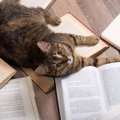 猫が創作の源だった？　「深い猫愛」で知られる文豪3人　米国・フランス
