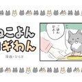 ねこよんコギわん【第50話】「食べづらいです」