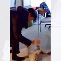 見守りカメラの様子を見たら、パパと猫が…微笑まずにはいられない『ふ…