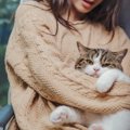 猫が落ち着ける『正しい抱っこ』のポイント5つ　嫌がってしまう理由や…