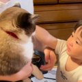 赤ちゃんが猫を抱きしめようとしたら…微笑ましすぎる『ふたりのやり取…