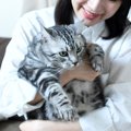 猫と『一緒に暮らす空間』での絶対NG行為4つ！理由や改善しない場合のリス…