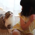 背中に飛びついてきた猫→娘が立ち上がると……思わず笑っちゃう『可愛す…
