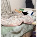 寝室に入ったら、ベッドで猫が…一緒に寝る気マンマンすぎる『まさかの待ち…