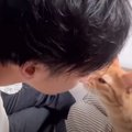 猫にパパが顔を近づけた結果…ママとは明らかに『違いすぎる態度』が笑…