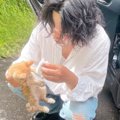 真っ暗なトンネルの中で『あたふたしていたガリガリの子猫』を発見……まさ…