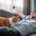 飼い主さんが「気絶したふり」をしたら、愛猫はどうする…？　SNSでの投稿…