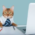 時の首相より猫のほうが活躍していた！？労働組合に貢献（？）した猫たち…