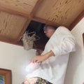 屋根裏から聞こえた小さな鳴き声→天井を開けてみたら、『まさかの状態の猫…