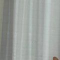 窓越しに『お出迎えしてくれた猫』→よく見たら……まさかの『貫通してい…