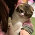 モフモフされて幸せそうな猫さん！