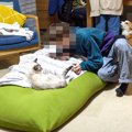 猫と『浮気している長男』を見てしまった犬…強烈に反応する姿が面白す…