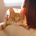 愛猫に『依存されやすい人』の特徴4選　放置すると飼い主さんも困った…