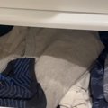 開いていた洋服タンスの引き出し→猫がいると思い見てみると…『まさか…