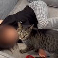 疲れて帰ってきた女の子に、優しい猫が…まさかの『尊い光景』に感動す…