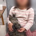猫を赤ちゃん扱いする5歳の娘→本当の年齢を教えてみた結果…事実を知っ…