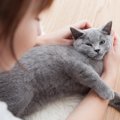 猫と『ラブラブ』な飼い主がしていることって？4つの秘訣と大切なこと