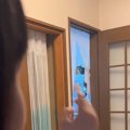 猫が『半年ぶりに帰ってきた次女』を見た結果…まさかのリアクションに感動…