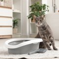 猫がウンチの前後に鳴く「トイレハイ」のナゾ…考えられる3つの理由　…