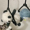 ねこのお友達のぬいぐるみを洗って干していたら…とんでもなく『愛おし…