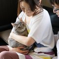 猫はなぜ『男性より女性が好き』なの？考えられる3つの理由と、男性が…