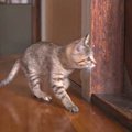 子猫たちの大好きなパパが午後出勤だった結果…『バレバレなストーカー…