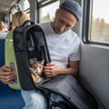 列車内で「突然鳴き出した猫」の飼い主から、鉄道会社が罰金を徴収　フラ…