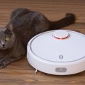 猫と『お掃除ロボット』の共存は可能？メリット・デメリットをそれぞれ解…