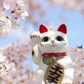 幸運を呼び込む「福猫」その様々なエピソードとは