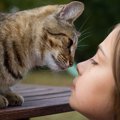 猫が飼い主の『身代わり』になるって本当？よくある4つのケースを紹介！