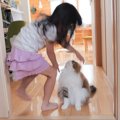 猫が『子供たちとの再会』で飛びつかれたら…まさかの姿が可愛すぎると…