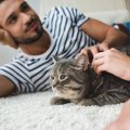 コロナ禍に突然現れ、最高の家族になった猫　実は『自らの死を偽装』…