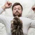 猫が飼い主の『就寝中に襲いかかる』理由4つ　睡眠を邪魔されないため…