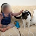 ２歳の女の子→『人懐っこい猫がいるお家』に遊びにきた結果…思わずニヤけ…
