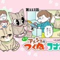 半分アメショのつくねとコナン【第113話】 「これがいい」