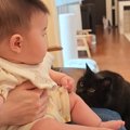 猫が『成長した赤ちゃん』と再会した結果…幸せあふれる光景が微笑まし…