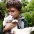 「出席率は100％」毎朝、少年と一緒に通学する飼い猫が、学校で大人気のマ…